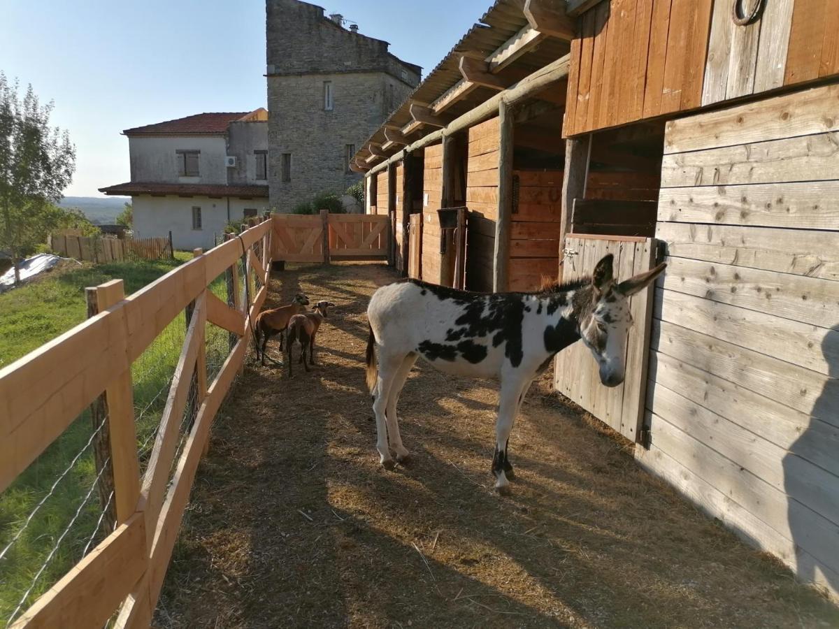 Villa Les Hauts Vallons Puylaroque Zewnętrze zdjęcie