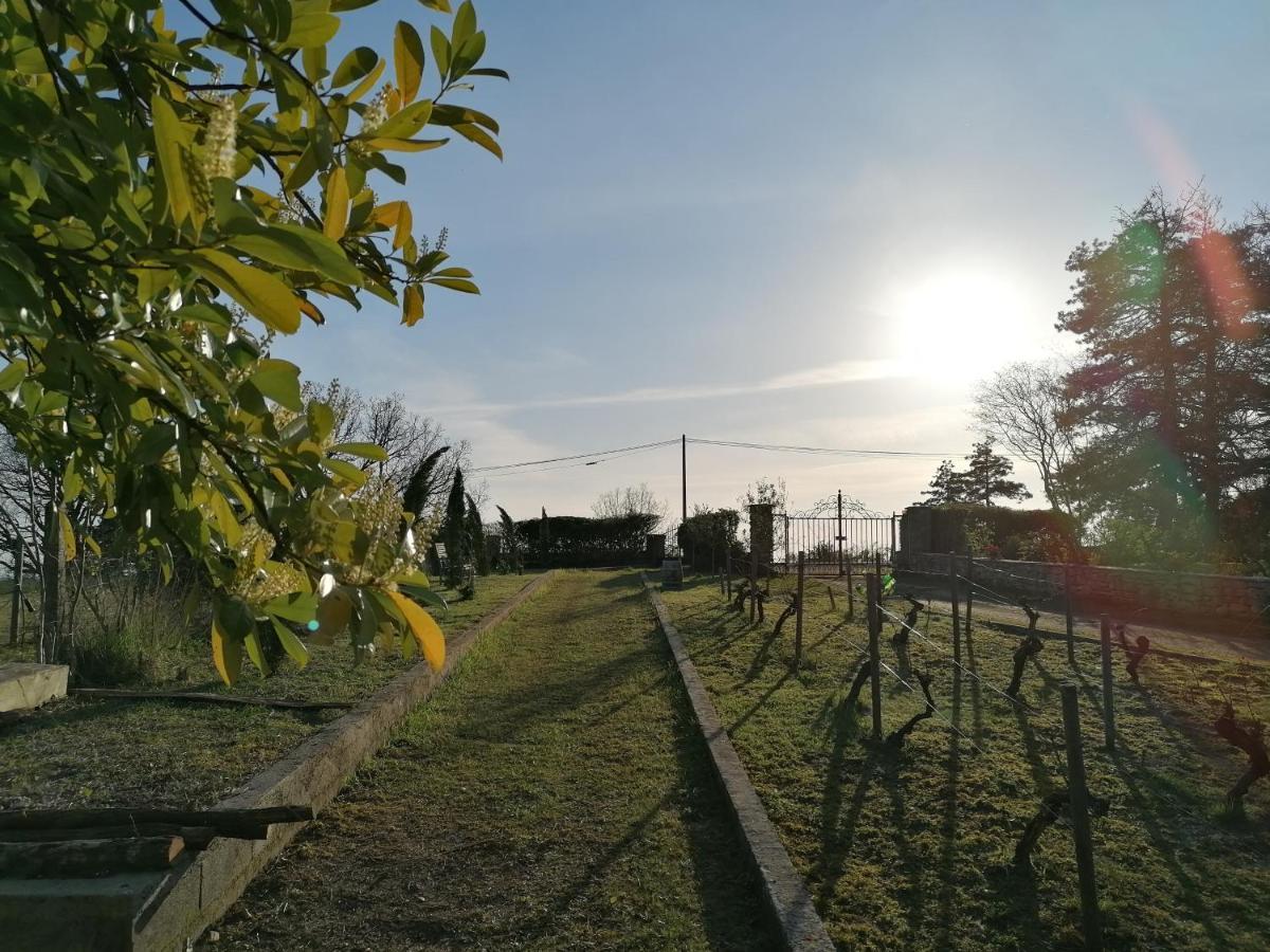 Villa Les Hauts Vallons Puylaroque Zewnętrze zdjęcie